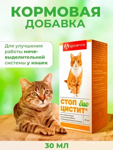 Суспензия Стоп-цистит Био для кошек, 30 мл