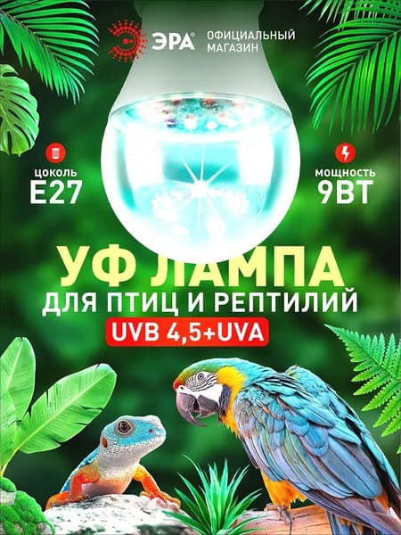 УФ лампа для террариума попугаев рептилий UVB 4.5 диммируемая ЭРА FITO-Dim Chicken Е27 9Вт