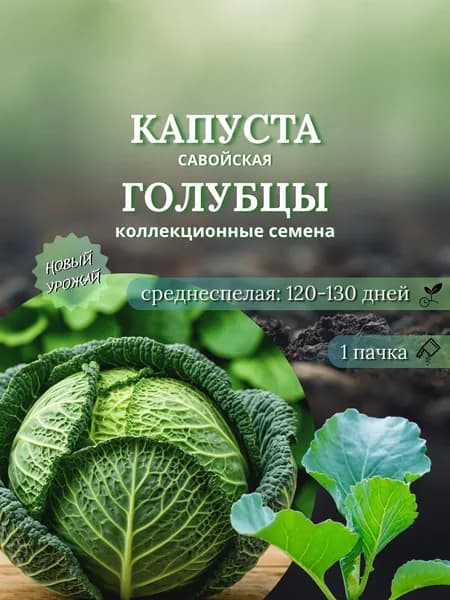 Капуста савойская Голубцы, коллекционные семена, 10 шт.