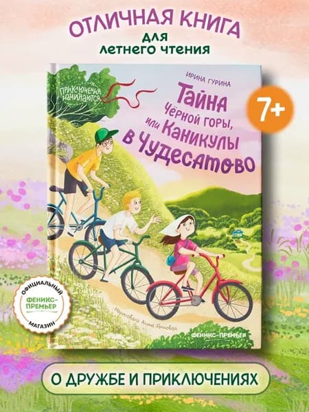 Тайна Черной горы, или Каникулы в Чудесатово