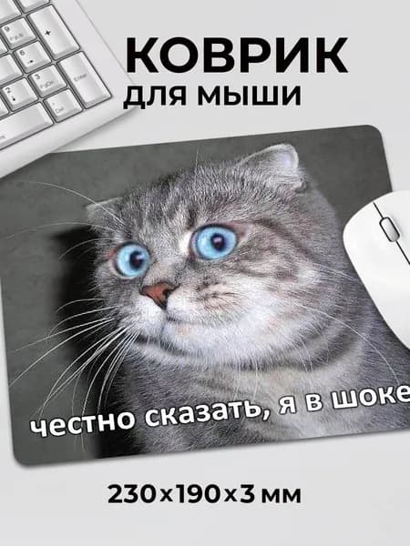 Коврик для мышки с приколом мем котик Честно сказать в шоке