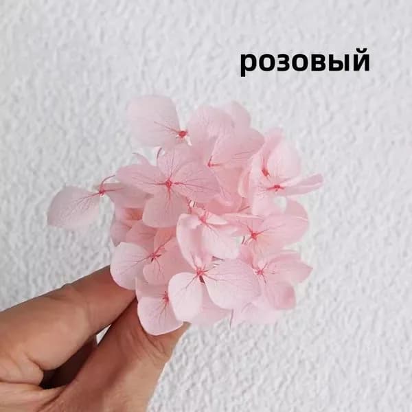 5 г сухих цветов гортензии Сухоцветы 8 цветов