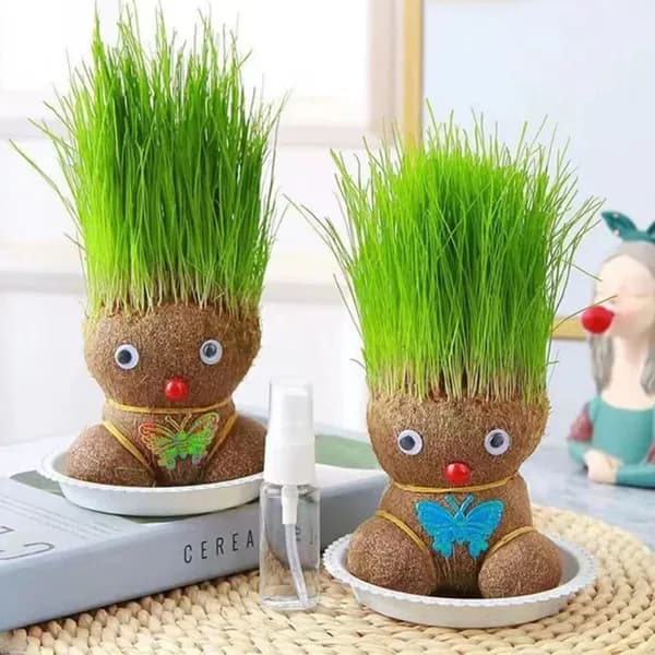 Игрушка для кошек с кошачьей мятой на белой подставке для гидропоники, способствует пищеварению и выведению шерсти