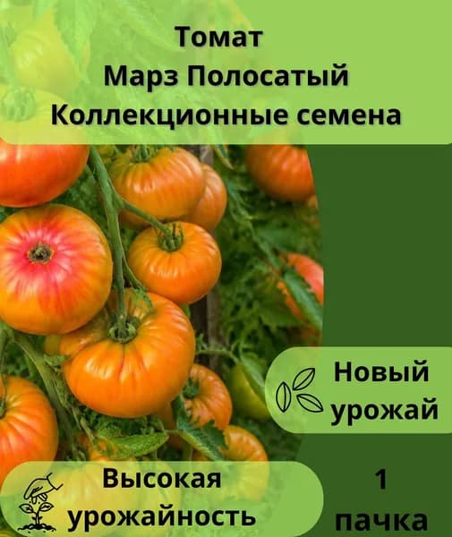 Коллекционные семена томата Марз Полосатый, 1пачка
