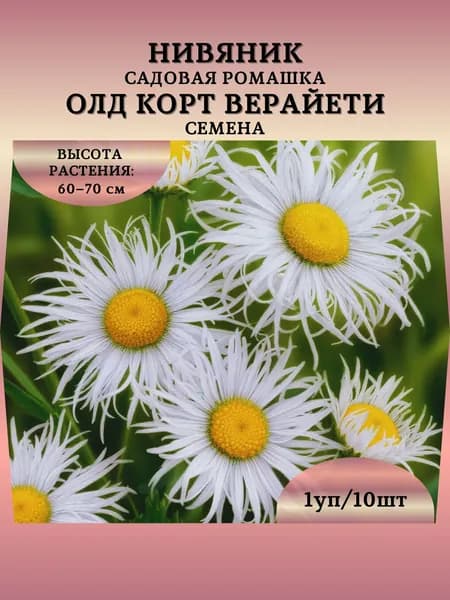 Нивяник (садовая ромашка) "Олд Корт Верайети" семена, 1 пачка