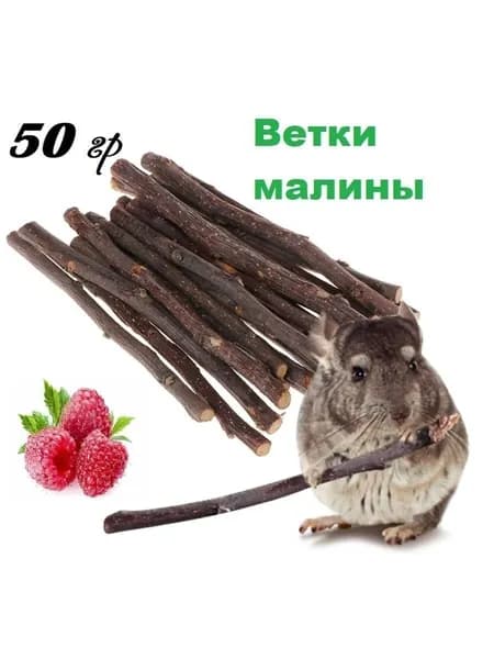 Лакомство для грызунов