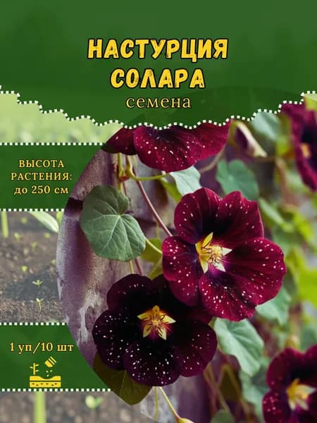 Настурция "Солара" семена, 1 пачка