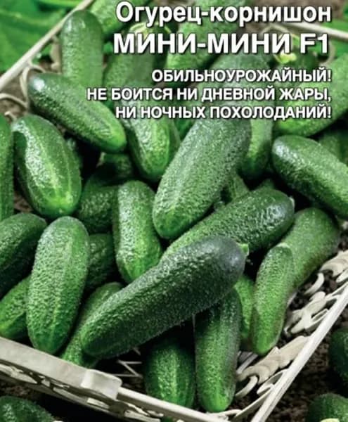 Коллекционные семена огурца Мини-Мини F1