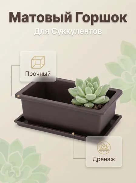 Горшок для рассады
