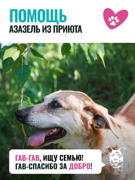Помочь Азазели найти дом