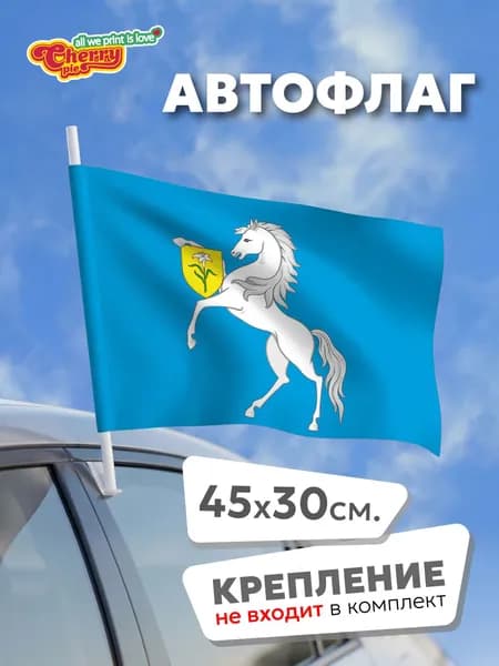 Флаг 45x30 Чертаново Северное (Москва) (2017 г.)