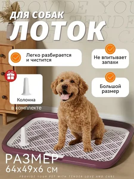 Лоток для собак под пеленку большой