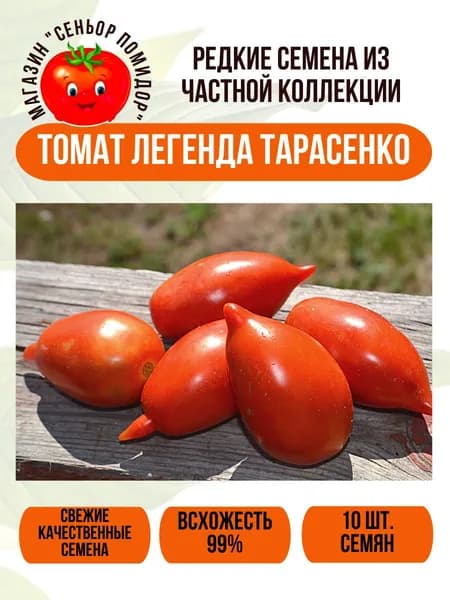 Семена редкого коллекционного томата Легенда Тарасенко