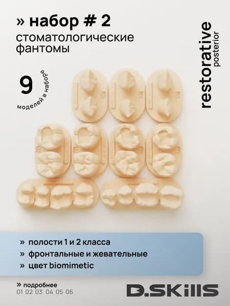 SET #2 Модели зубов для реставрации