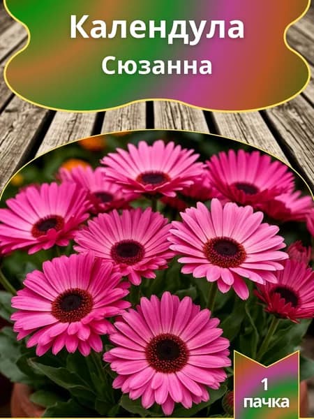 Календула Сюзанна , семена 10 шт.