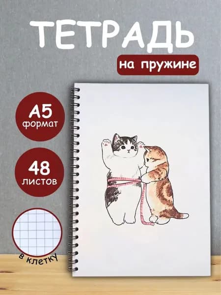 Тетрадь 48 листов в клетку на кольцах, блокнот А5 на пружине