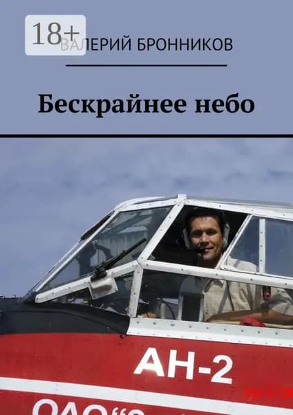 Бескрайнее небо | Бронников Валерий Викторович | Электронная книга