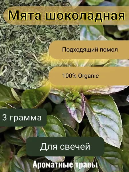 Мята шоколдная - травы для свечей