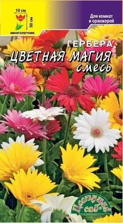 Гербера Смесь сортов