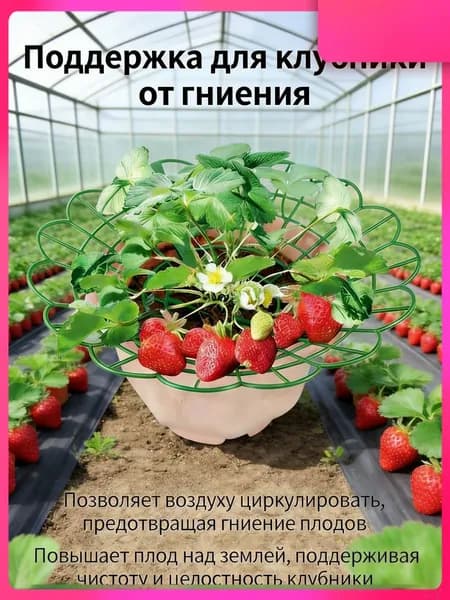 Опора для растений,28см,10шт