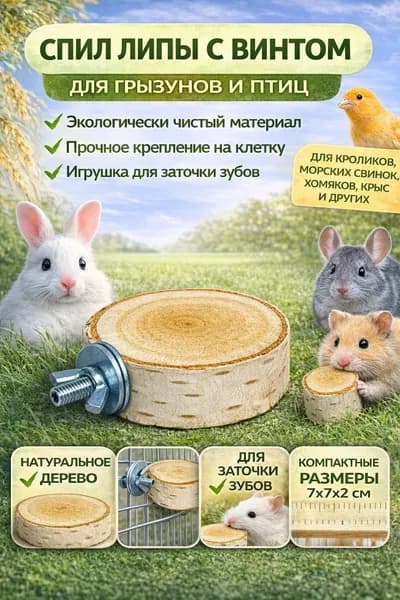 Спил липы для кролика, морской свинки, хомяка, крыс и других грызунов ( с винтом )