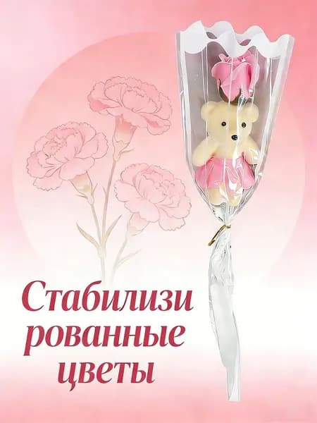 Стабилизированные цветы Пионовидная роза