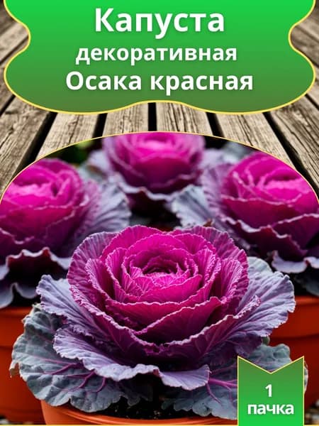 Семена Капусты "ОСАКА" F1 красная декоративная,1 пачка
