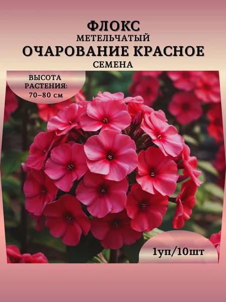 Флокс метельчатый "Очарование Красное" семена, 1 пачка