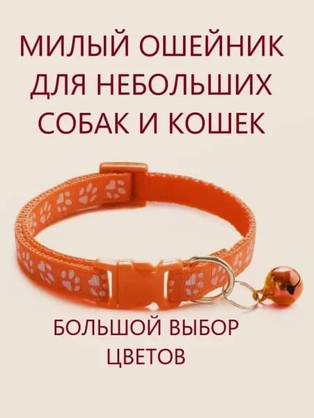 Ошейник