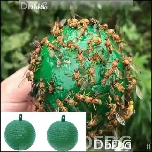 Ловушка для садовых вредителей