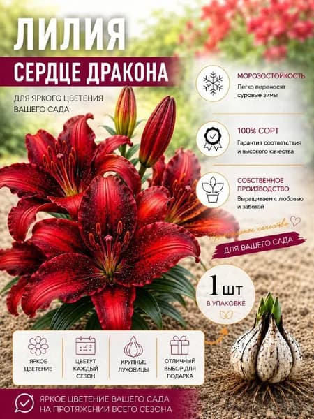 Луковицы,0.08кг
