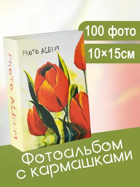 Фотоальбом 100 фото 10х15см FOTOGRAFIA с кармашками семейный