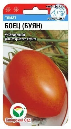 Томат Боец (Буян) от агрофирмы Сибирский сад
