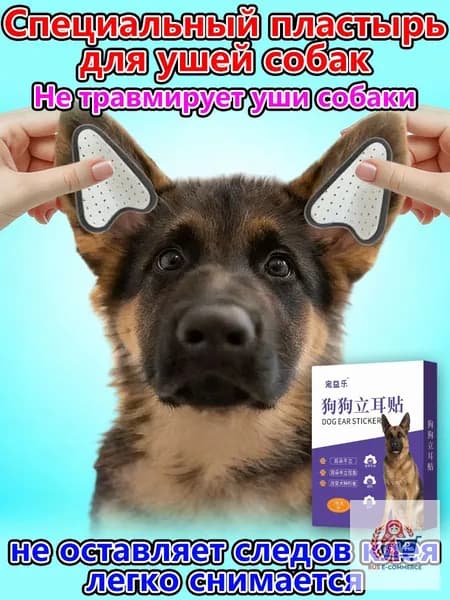 Подставка Для Ушей Собак, Коррекция И Поддержка, 1 Пара, Светло-Коричневый, Нетканый Материал, Долговечная И Практичная