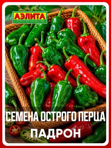 Семена перец острый "Падрон", 5 шт, для дома, дачи и огорода, перец острый из семян, для теплицы и открытого грунта