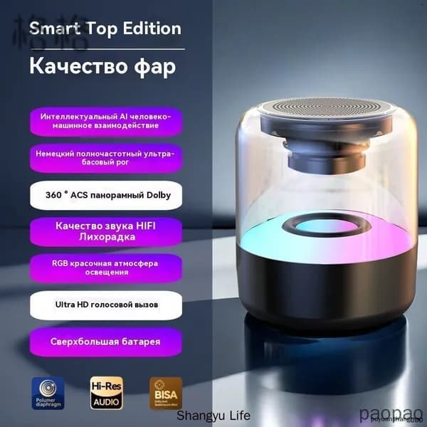Умная колонка, с искусственным интеллектом GigaChat,10,прозрачный,черный