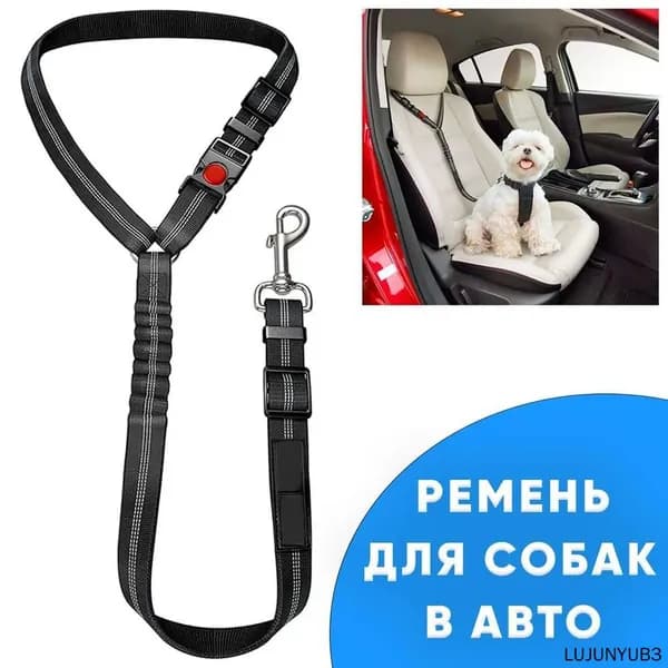 Ремень безопасности для собак