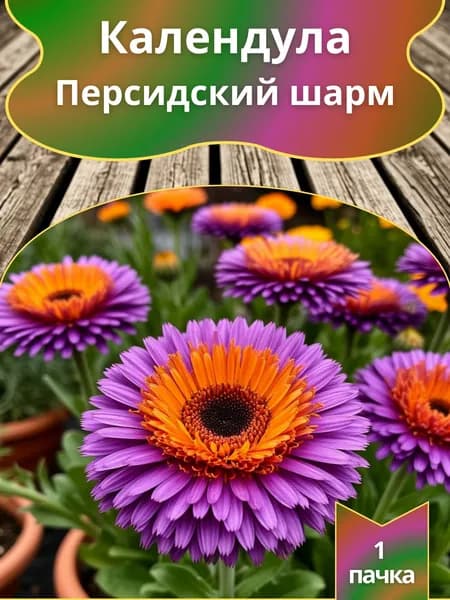 Календула Персидский шарм , семена 10 шт.