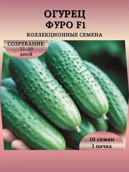 Коллекционные семена Огурца "Фуро F1", 10 семян