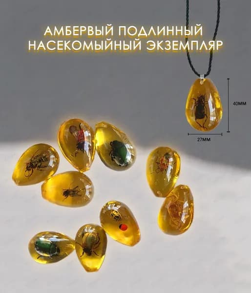 Коллекционирование насекомых