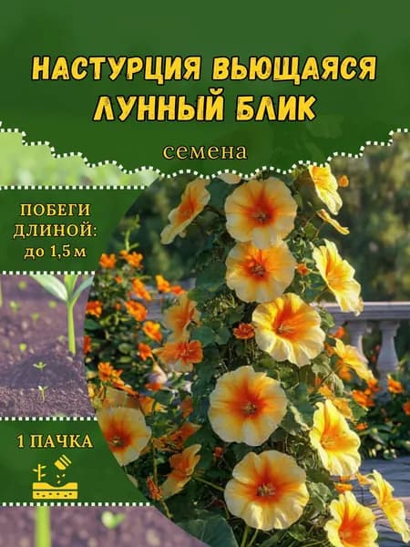 Настурция вьющаяся "Лунный Блик" семена, 1 пачка