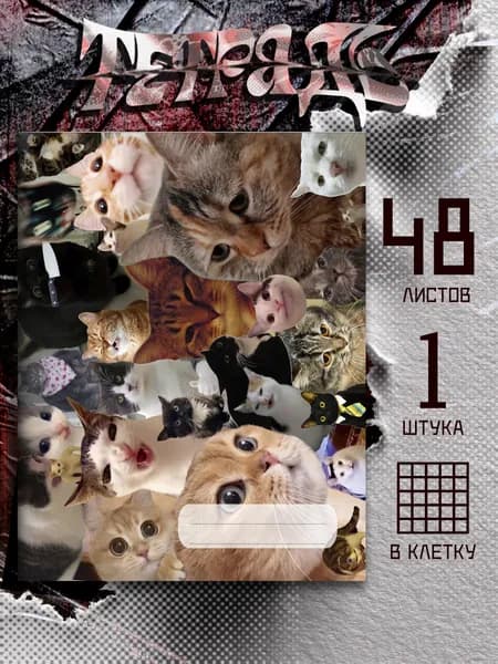 Тетрадь мемы с котами, 48 листов