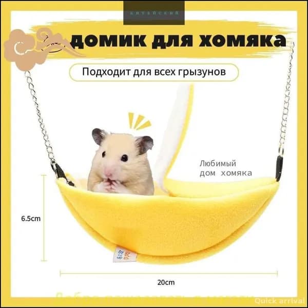 Зимние хомяки, крысы в клетке грызунов