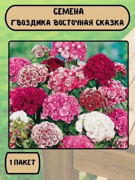 Гвоздика Восточная сказка турецкая махровая, смесь сортов, семена 10 шт