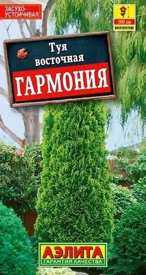 Семена Туя Восточная Гармония (8 семян) - Аэлита. Семена хвойных деревьев, бонсай
