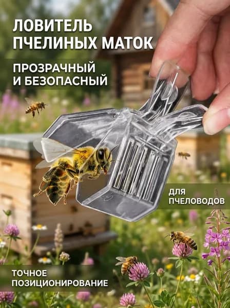 Клеточка для пчеломатки,прозрачный