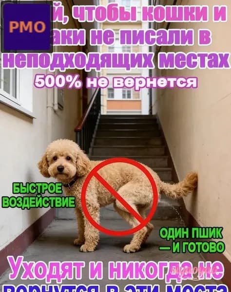 Спрей для коррекции поведения животных 100 мл: для кошек, собак и птиц