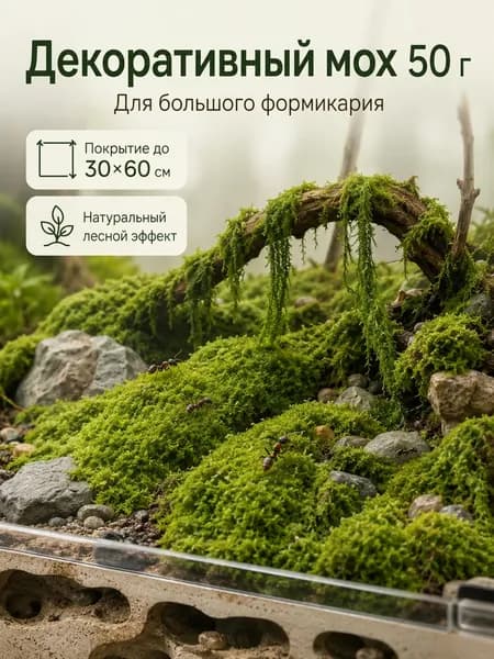 ExoNest Декоративный мох для муравьиной фермы и формикария, 50 г, покрытие до 30х60 см