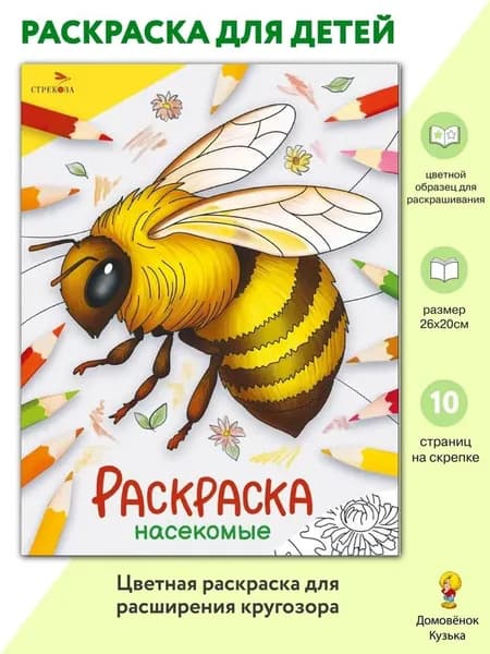 Насекомые. Раскраска Окружающий мир