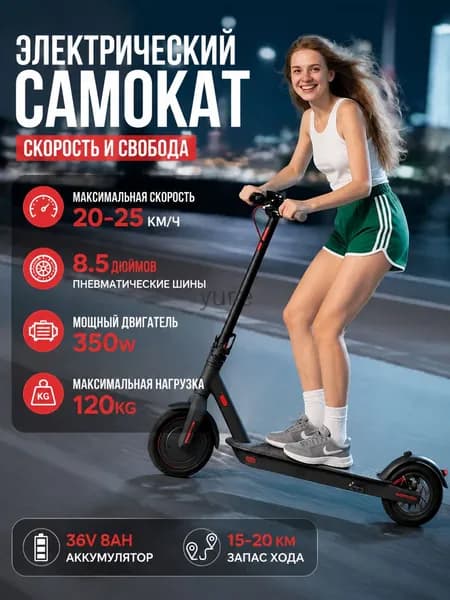 Электросамокат 1238-1, черный